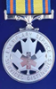 exemplary service medal